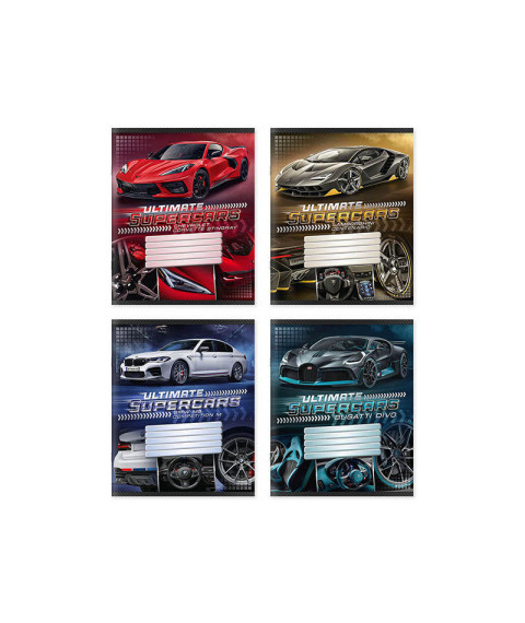 Caiet 12 foi, linie, copertă colorată, 12198